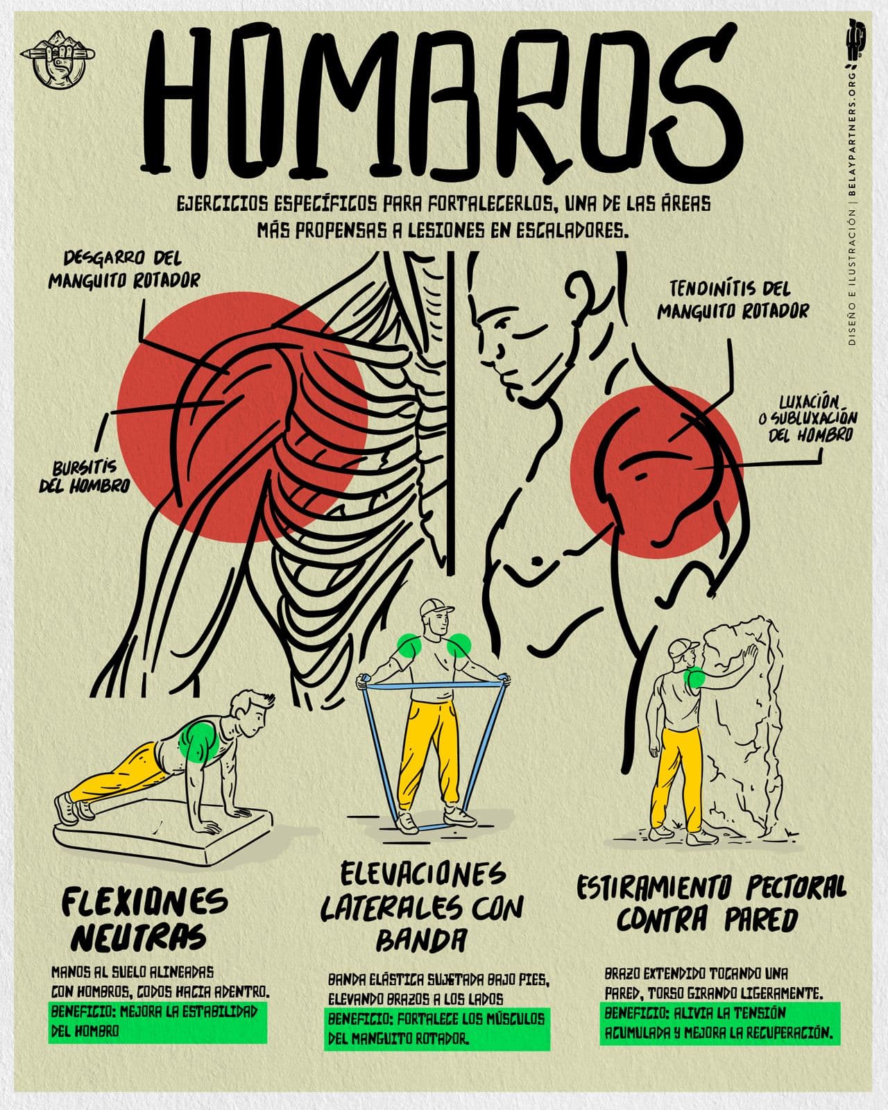 Ilustración educativa sobre ejercicios para fortalecer hombros en escaladores.