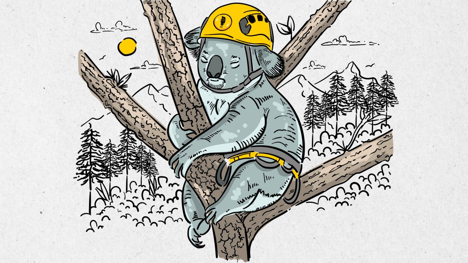 Koala dormido con casco de escalada amarillo y arnés, abrazando una rama en un bosque de montaña.