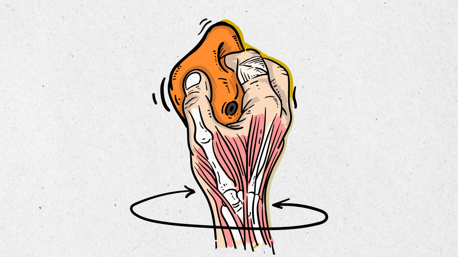 Ilustración de una mano escaladora sujetando una presa con visualización anatómica de músculos y huesos del antebrazo.