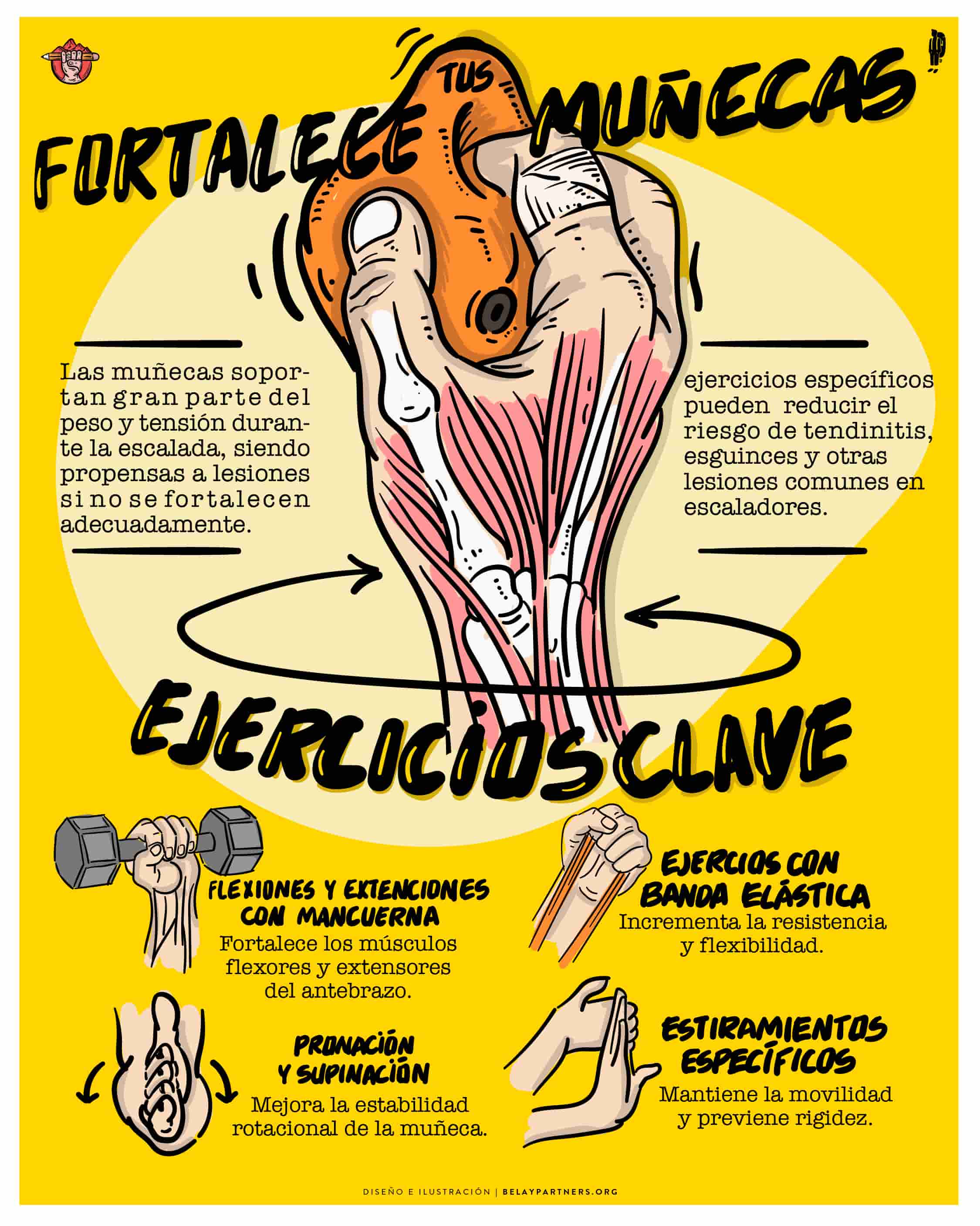  Infografía sobre ejercicios para fortalecer las muñecas en escalada, con dibujos de ejercicios como flexiones con mancuerna y banda elástica.