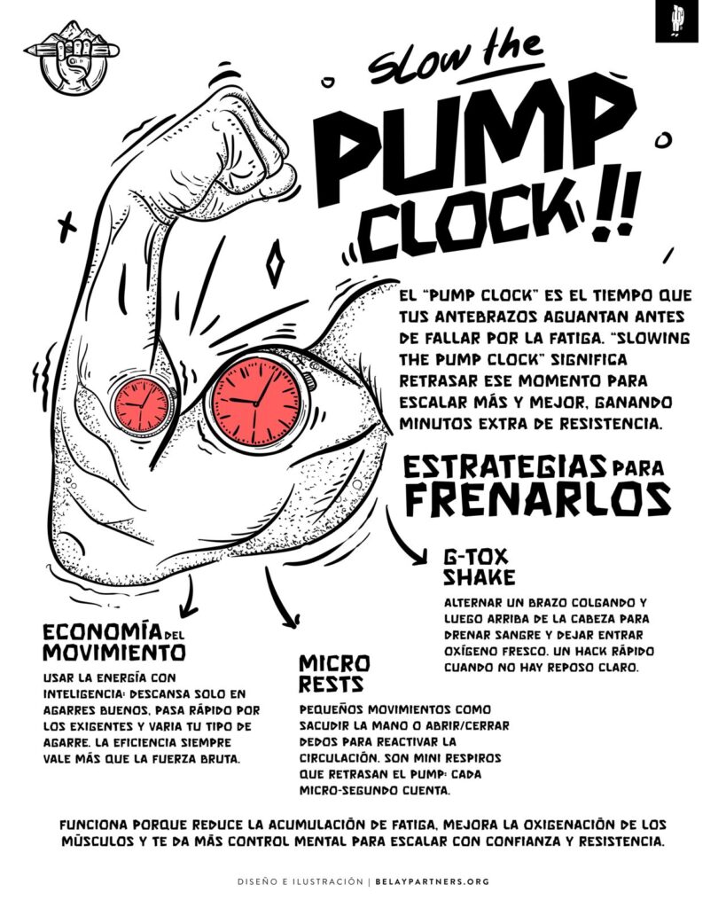 Infografía ilustrada sobre el “pump clock” en escalada con un brazo flexionado y relojes en los músculos, mostrando estrategias para retrasar la fatiga de antebrazos.